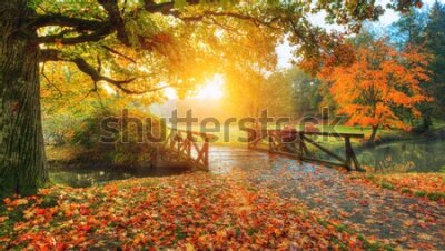 Fototapete Herbstlandschaft Sonnenaufgang im Park