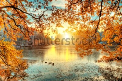 Fototapete Herbstlandschaft Sonnenaufgang zwischen den Bäumen