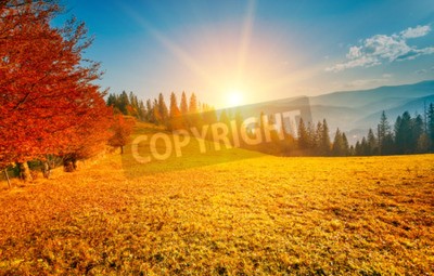 Fototapete Herbstlandschaft und Sonnenaufgang