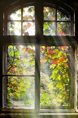 Fototapete Herbstlaub am Fenster