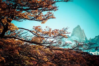 Fototapete Herbstliche Äste vor dem Hintergrund der Berge