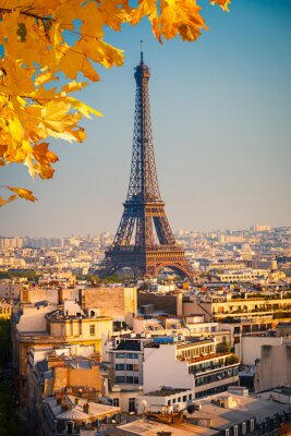 Fototapete Herbstliche Blätter in Paris