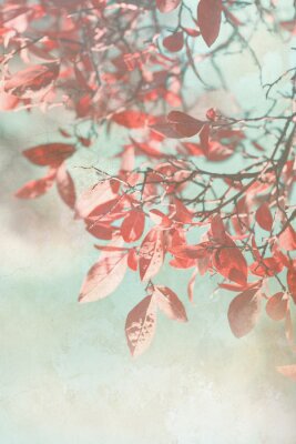 Fototapete Herbstliche Zweige in Rot