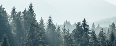 Fototapete Herbstmorgen in den bergen