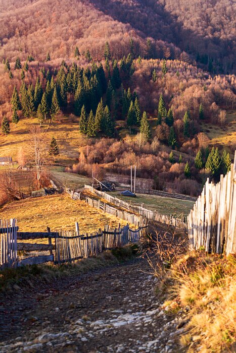 Fototapete Herbstmorgen unter Natur