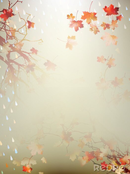 Fototapete Herbsttropfen auf Blättern