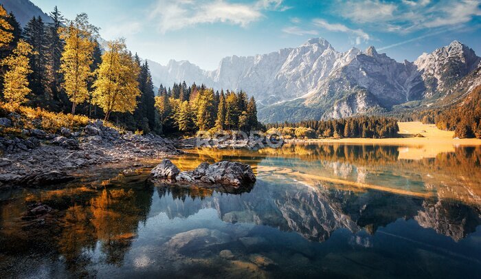 Fototapete Herbstwald im Sonnenlicht an einem See