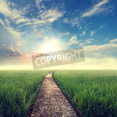 Fototapete Himmel über hellem Weg