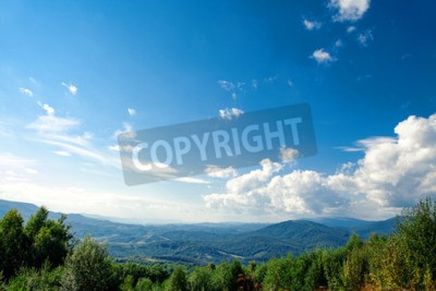 Fototapete Himmel über Kiefernwald