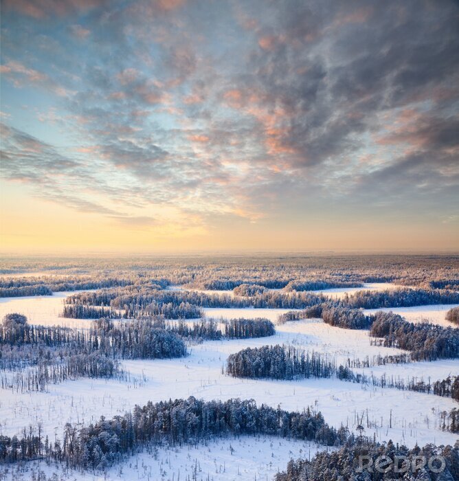 Fototapete Himmel über Winterwald