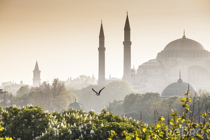 Fototapete Himmelblaue Moschee in Istanbul am Morgen