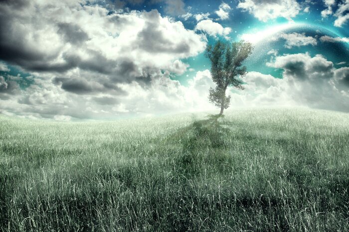 Fototapete Himmelhoher Hügel mit Baum