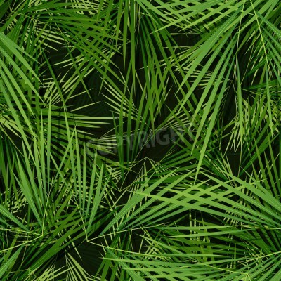 Fototapete Hintergrund aus natürlichen Blättern