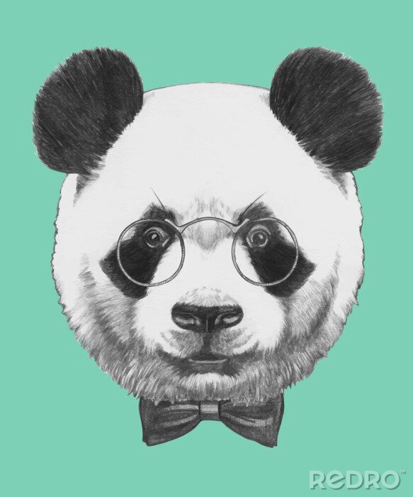 Fototapete Hipster-porträt eines pandas