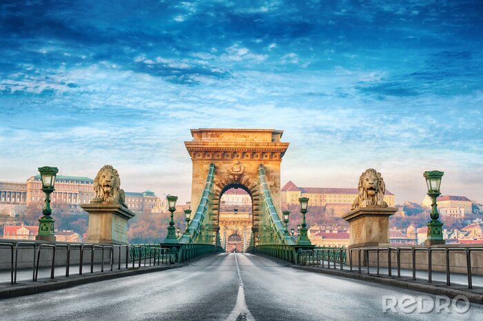 Fototapete Historische Brücke in Budapest