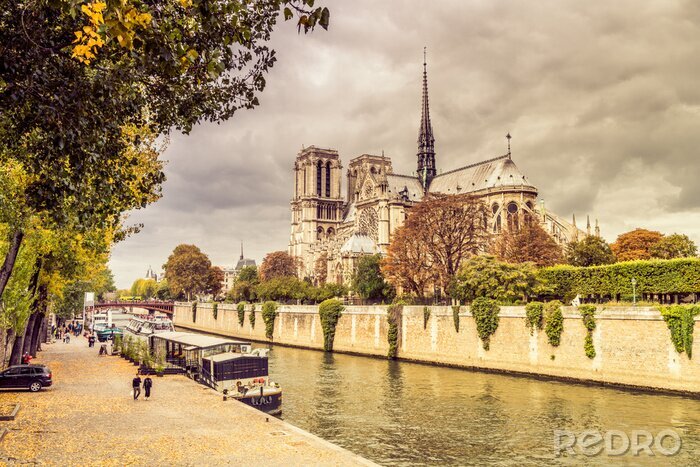 Fototapete Historisches Paris mit Kathedrale Notre-Dame