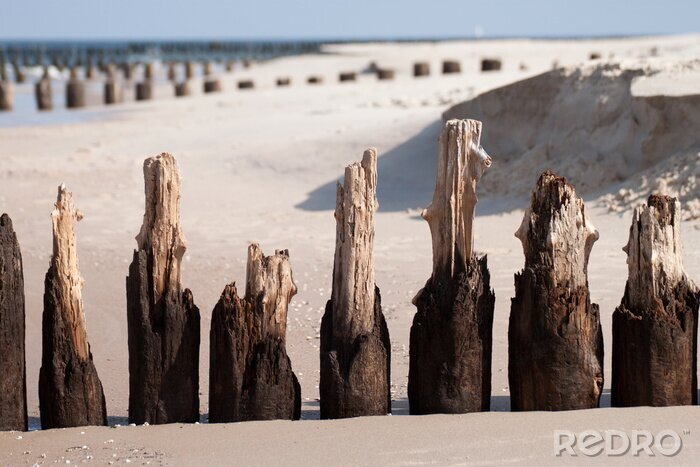 Fototapete Hölzerne Wellenbrecher am Meer