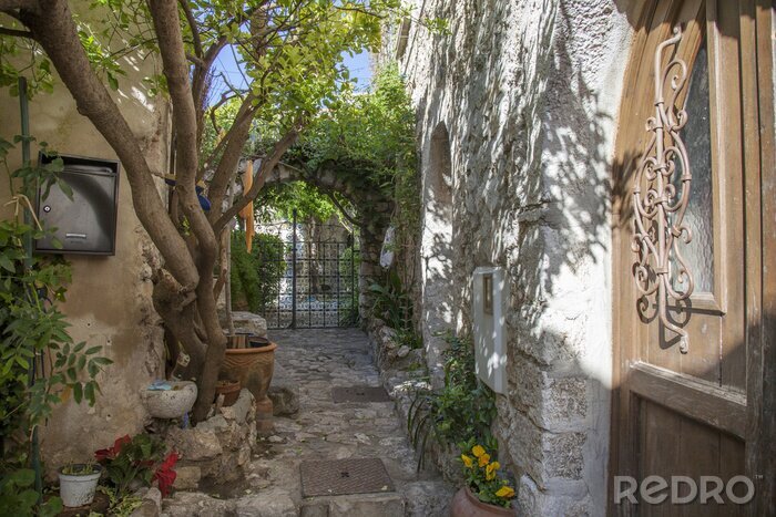 Fototapete Hof mit Baum und Blumen