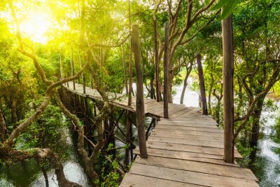 Fototapete Holzbrücke im dichten Dschungel