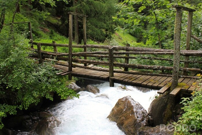 Fototapete Holzbrücke im dichten Wald