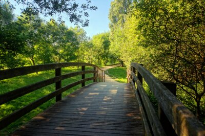 Fototapete Holzbrücke im grünen Park