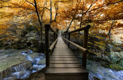 Fototapete Holzbrücke im Herbstwald