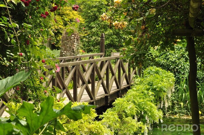 Fototapete Holzbrücke im wuchernden Garten nach Maß myredro.de