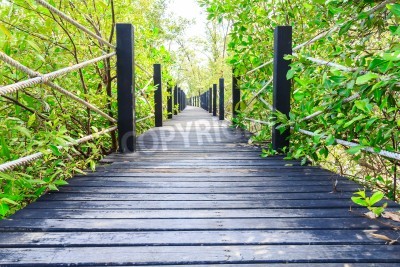 Fototapete Holzbrücke mit Leinen