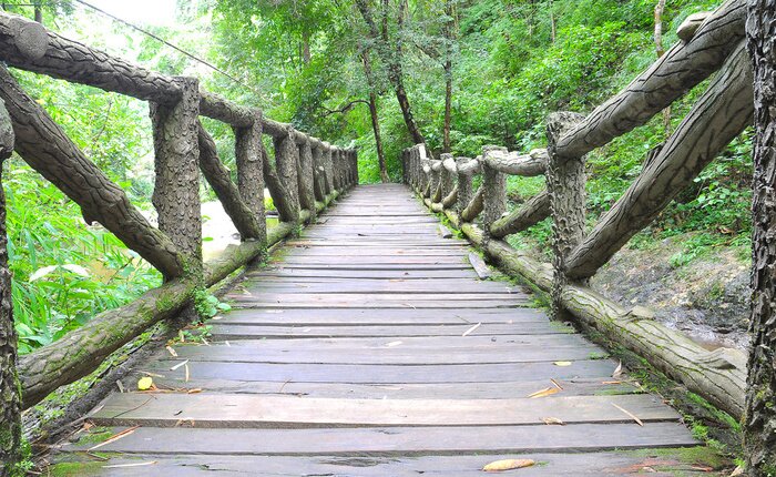 Fototapete Holzbücke mitten im Wald