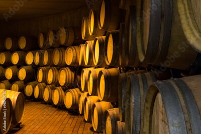 Fototapete Holzfässer im Keller