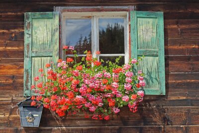 Fototapete Holzfenster mit Fensterläden und Blumen