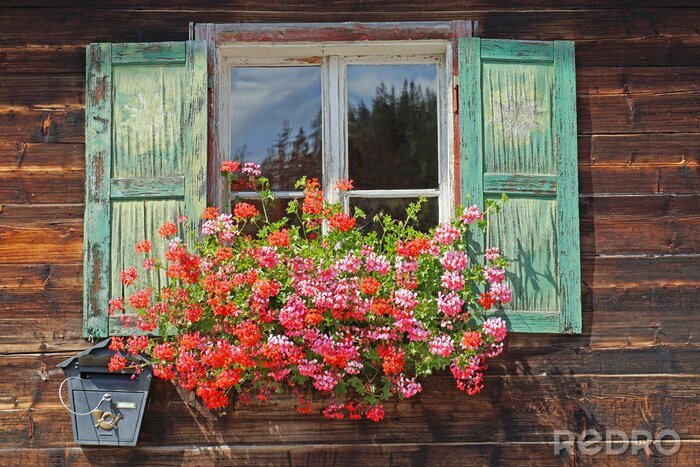 Fototapete Holzfenster mit Fensterläden und Blumen