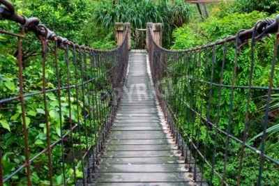 Fototapete Holzhängebrücke im Dschungel