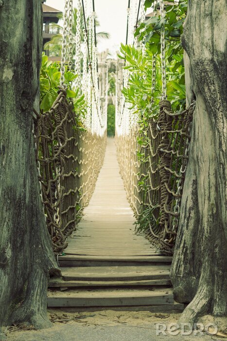 Fototapete Holzhängebrücke unter Pflanzen