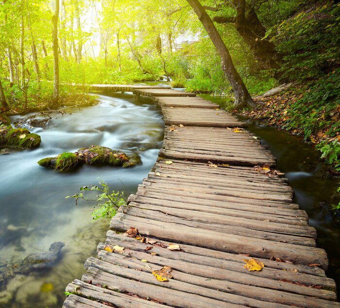 Fototapete Holzpfad im Park