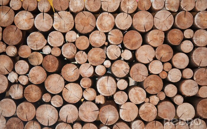 Fototapete Holzstapel vom Stämmen