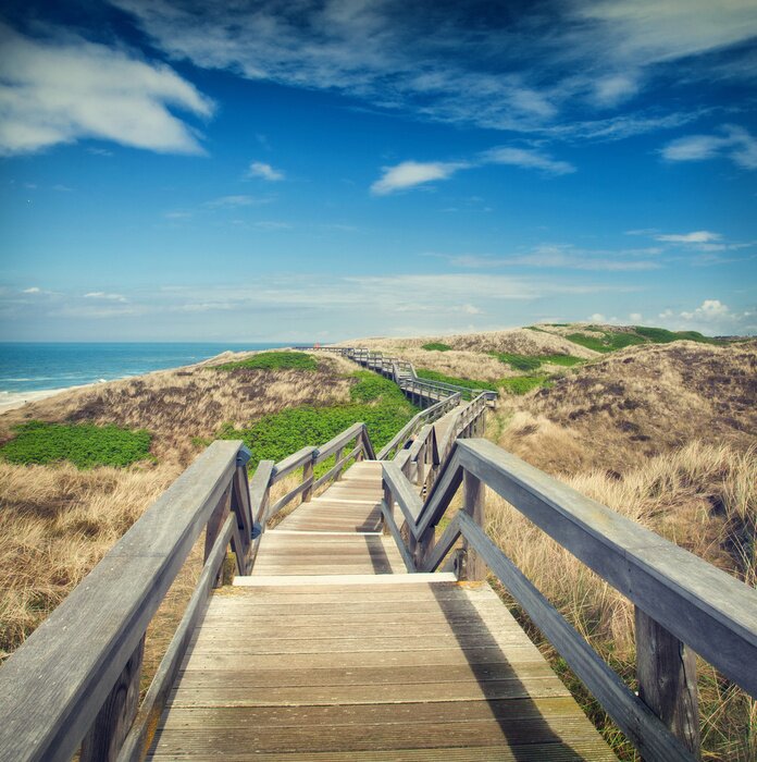 Fototapete Holzsteg auf Dünen