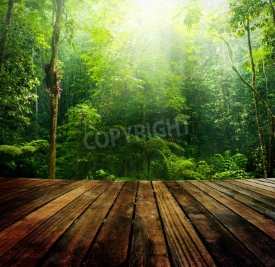 Fototapete Holzsteg im Dschungel