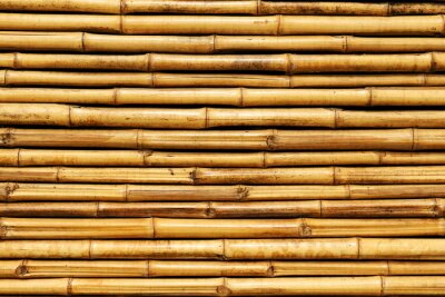 Horizontale Bambusstengel