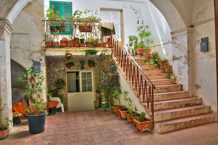 Fototapete Hot mit grünen Pflanzen