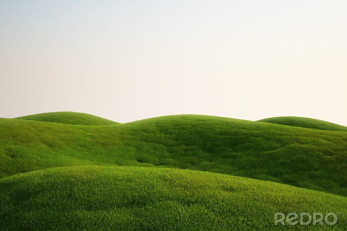 Fototapete Hügel mit Gras