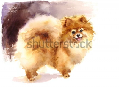 Fototapete Hund mit Aquarellfarbe gemalt