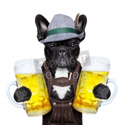 Fototapete Hund mit Getränken in Krügen