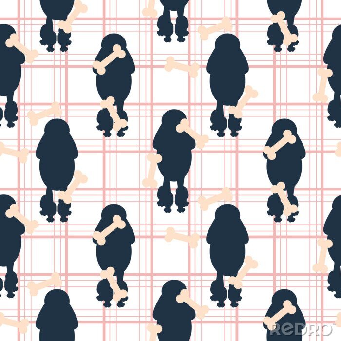 Fototapete Hunde Pudel auf kariertem Hintergrund