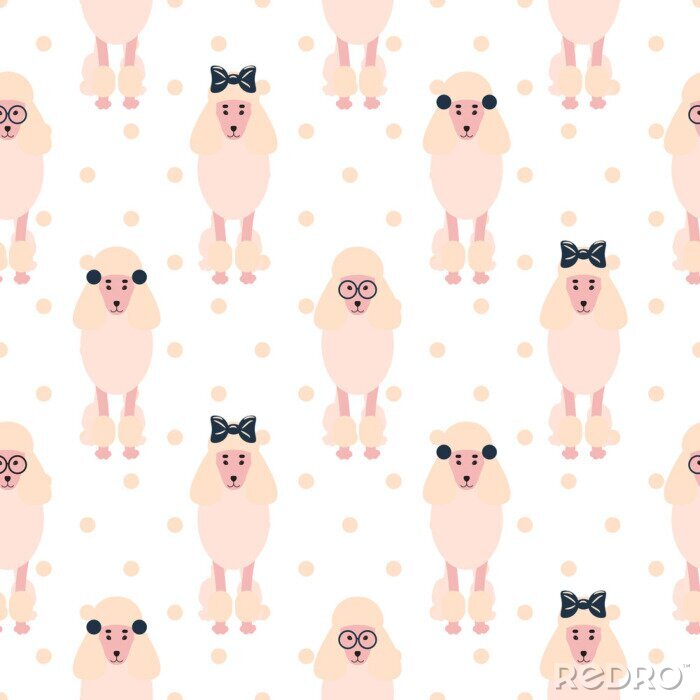 Fototapete Hunde Pudel mit Schleifen und Brille