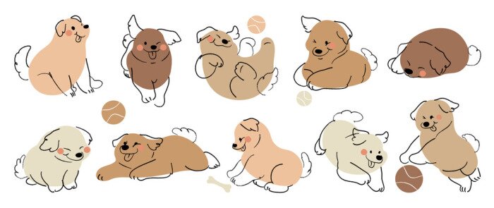 Fototapete Hunde spielen Ball