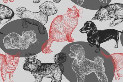Hunde verschiedener Rassen auf einem grau-roten Motiv