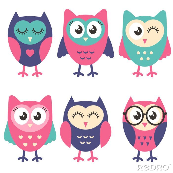 Fototapete Icons of cute owls isolated on white