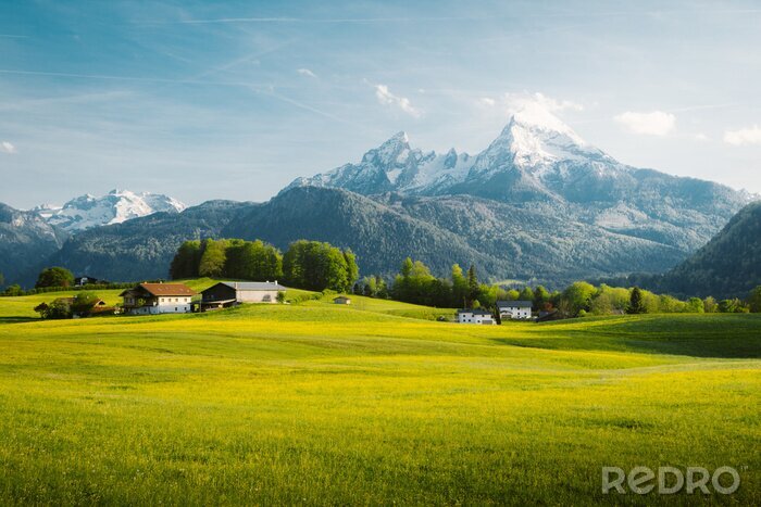 Fototapete Idyllische alpine Landschaft im Sommer