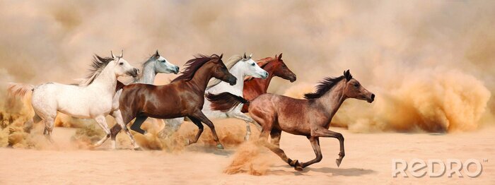 Fototapete Im sand rennende pferde